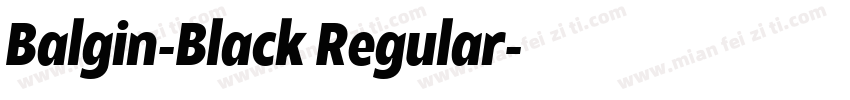 Balgin-Black Regular字体转换